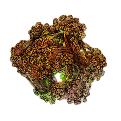 nft