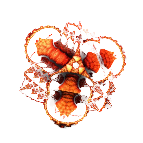 nft